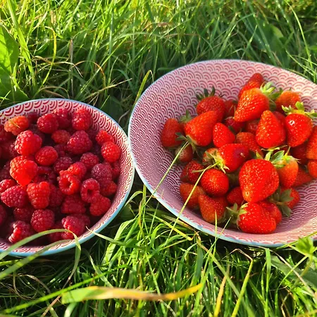 A La Ferme, Les Vergers Du Muscardin *