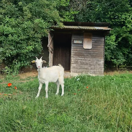 A La Ferme, Les Vergers Du Muscardin مزرعة للإقامة *
