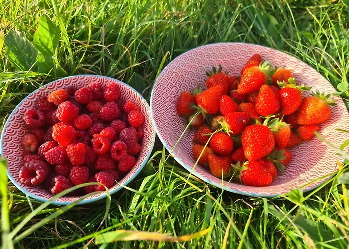 A La Ferme, Les Vergers Du Muscardin *