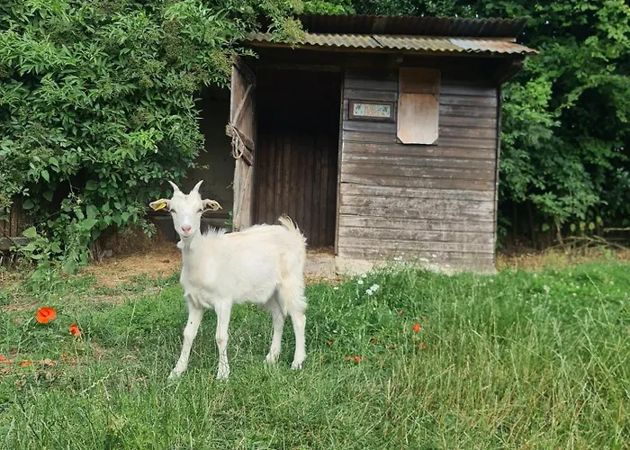 A La Ferme, Les Vergers Du Muscardin مزرعة للإقامة *