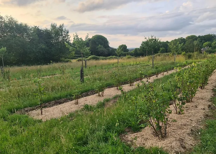 A La Ferme, Les Vergers Du Muscardin مزرعة للإقامة Breel